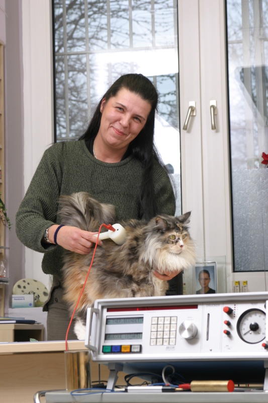 Dalmatiner Zucht - Tierheilpraxis Bochum - Karin Bednorz