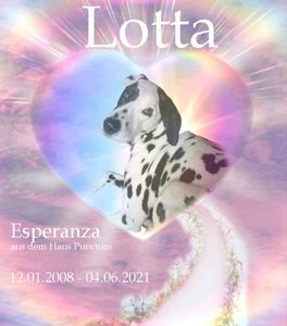 Unsere Lotta (Esperanza a.d.Haus Punctum) fliegt mit den Sternen